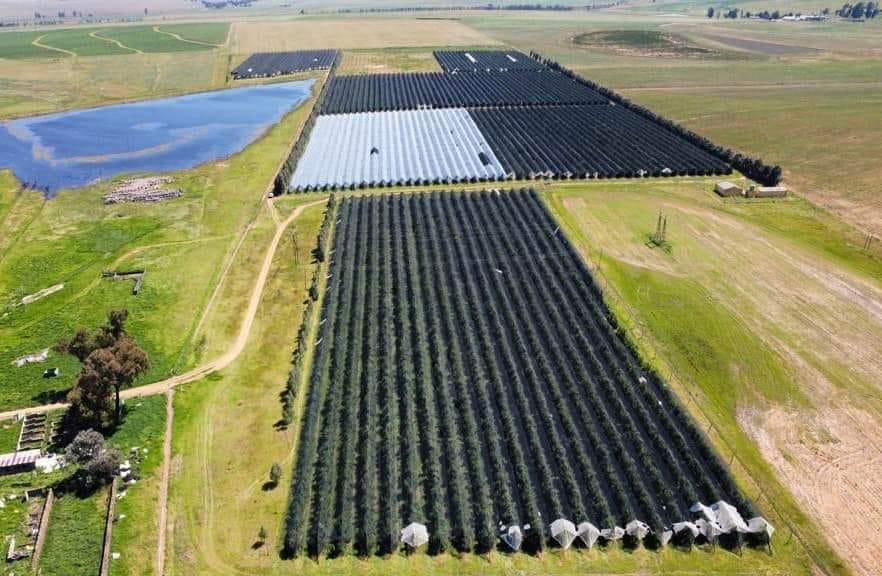 Commercial Property for Sale in Kestell Rural Free State